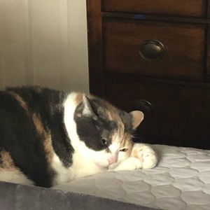 Meet your Posher, Logan